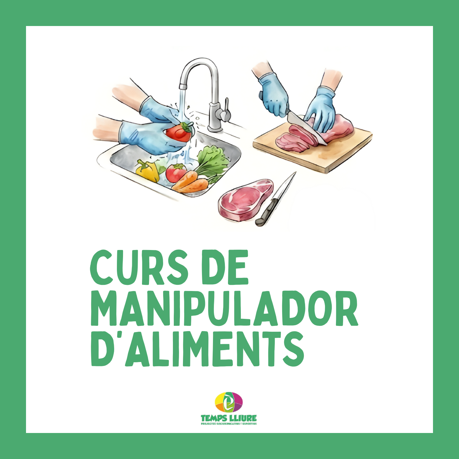 Curs de Manipulació d'Aliments - Temps Lliure Projectes
